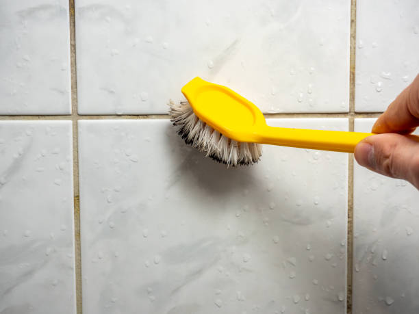 Best Emergency Mold Removal  in Rouses Point, NY